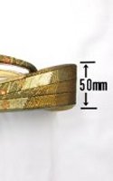 ����������5cm�ȏ㐄��